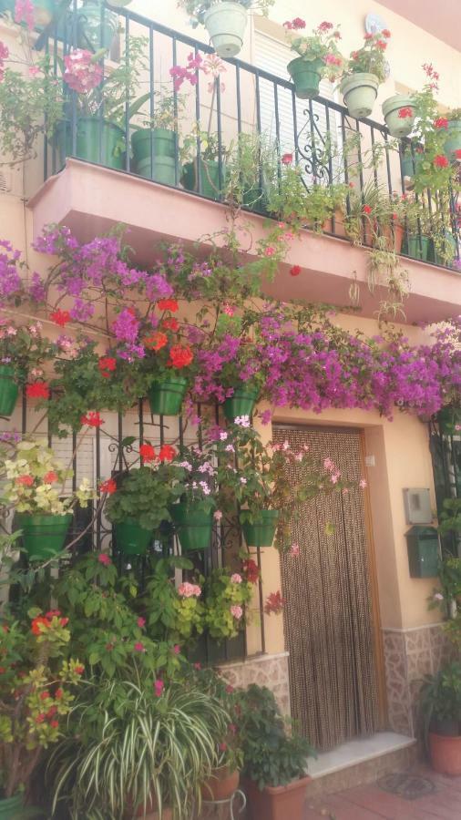 Puerto Deportivo Estepona Exteriör bild